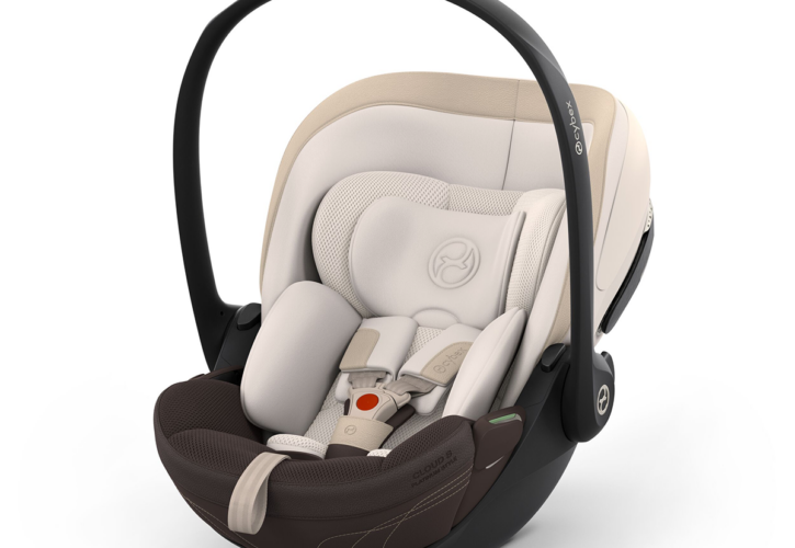 Cybex Platinum Ovetto Neonato Cloud S