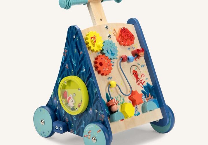 Moulin Roty Carrello primi passi multiattività